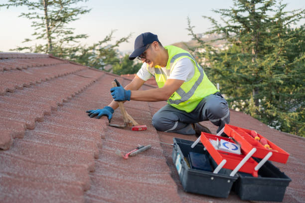 Best Metal Roofing Contractor  in Zionsville, IN